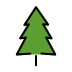 evergreen tree